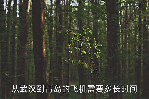 武漢到青島飛機(jī)，武漢到青島坐飛機(jī)會(huì)經(jīng)過(guò)哪幾個(gè)城市