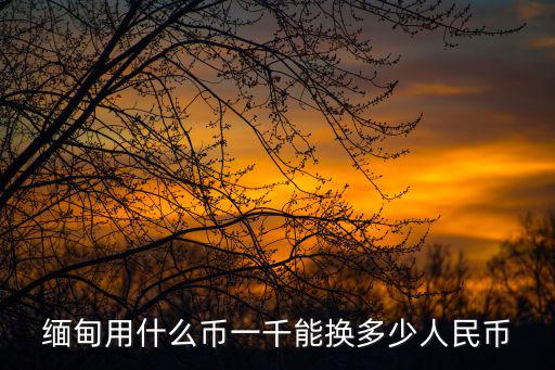 緬甸用什么貨幣，緬甸使用什么貨幣