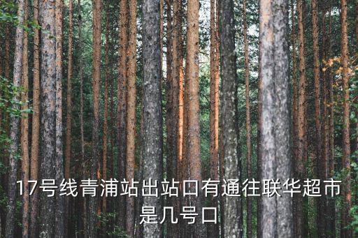 17號線青浦站出站口有通往聯(lián)華超市是幾號口