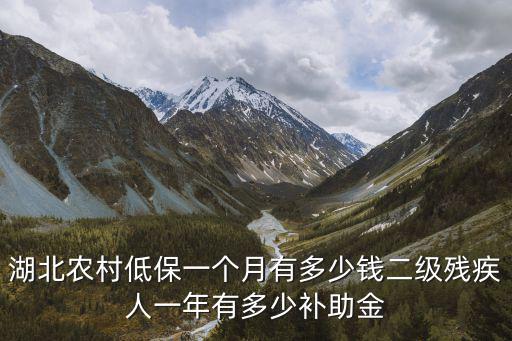 湖北農村低保一個月有多少錢二級殘疾人一年有多少補助金