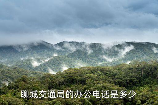 交通局電話，聊城交通局的辦公電話是多少
