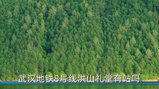 武漢地鐵8號線洪山禮堂有站嗎