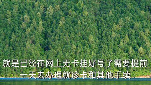 就是已經在網上無卡掛好號了需要提前一天去辦理就診卡和其他手續