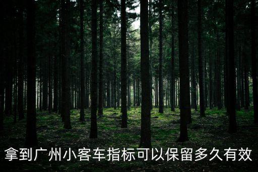 廣州中小客車指標(biāo)管理系統(tǒng)，廣州中小型客車牌照怎樣在網(wǎng)上申請怎么進(jìn)入謝謝