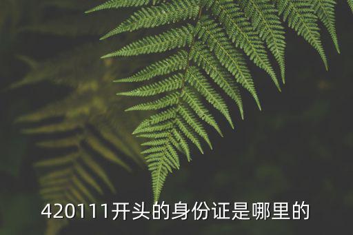 420111開頭的身份證是哪里的