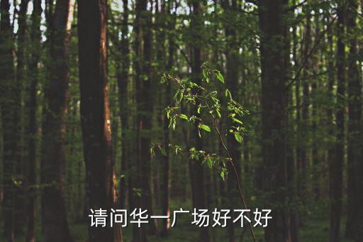 請問華一廣場好不好