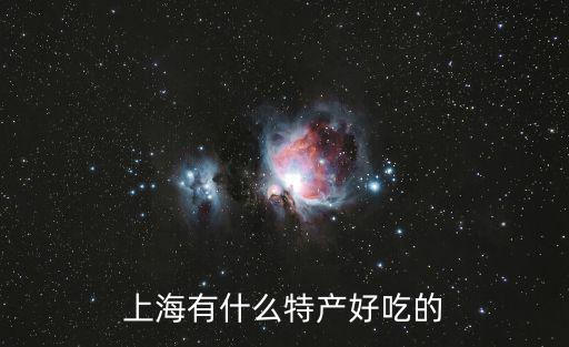 上海有什么特產(chǎn)好吃的