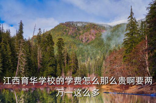 江西育華學(xué)校的學(xué)費怎么那么貴啊要兩萬一這么多