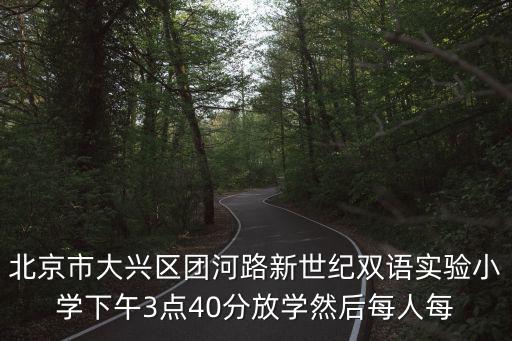 北京市大興區團河路新世紀雙語實驗小學下午3點40分放學然后每人每