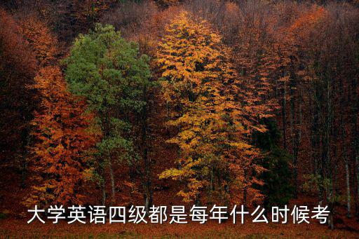 大學(xué)英語四級都是每年什么時候考