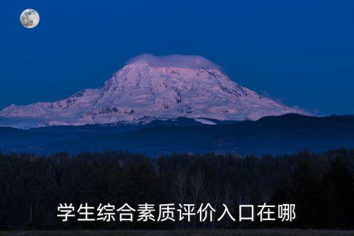 學(xué)生綜合素質(zhì)評(píng)價(jià)入口在哪