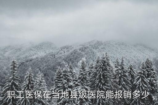 職工醫(yī)保在當(dāng)?shù)乜h級(jí)醫(yī)院能報(bào)銷多少