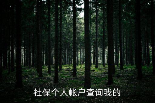 社保個(gè)人帳戶查詢我的