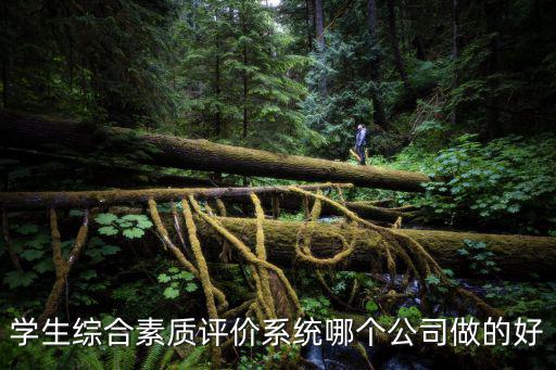 學(xué)生綜合素質(zhì)評(píng)價(jià)系統(tǒng)哪個(gè)公司做的好