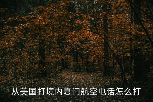 從美國(guó)打境內(nèi)夏門航空電話怎么打