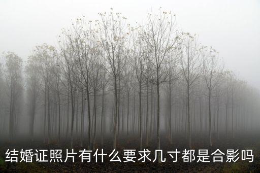 結(jié)婚證照片有什么要求幾寸都是合影嗎