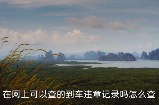 在網(wǎng)上可以查的到車違章記錄嗎怎么查