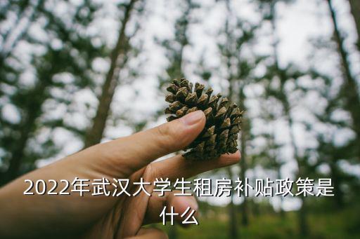 2022年武漢大學(xué)生租房補(bǔ)貼政策是什么