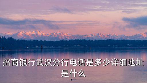 招商銀行武漢分行電話是多少詳細地址是什么