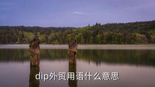 dip付費，dip外貿(mào)用語什么意思