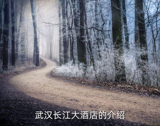 武漢長江大酒店的介紹