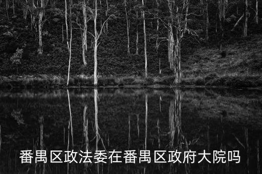 番禺區(qū)政法委在番禺區(qū)政府大院嗎