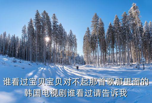 寶貝對不起電影，誰看過寶貝寶貝對不起那首歌那里面的韓國電視劇誰看過請告訴我