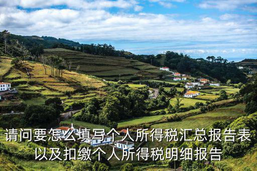 請問要怎么填寫個人所得稅匯總報告表以及扣繳個人所得稅明細(xì)報告