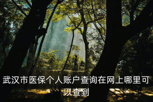 武漢市醫保個人賬戶查詢在網上哪里可以查到