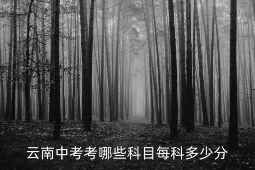 云南中考考哪些科目每科多少分