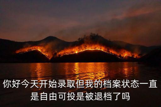 你好今天開始錄取但我的檔案狀態一直是自由可投是被退檔了嗎