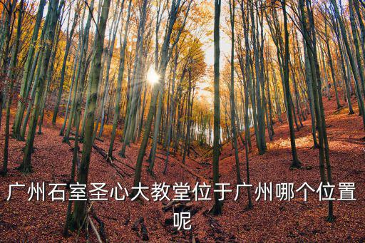廣州石室圣心大教堂位于廣州哪個(gè)位置呢
