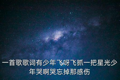 一首歌歌詞有少年飛呀飛抓一把星光少年哭啊哭忘掉那感傷