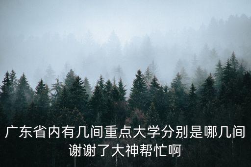 廣東省內(nèi)有幾間重點(diǎn)大學(xué)分別是哪幾間謝謝了大神幫忙啊