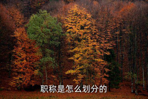 職稱是怎么劃分的