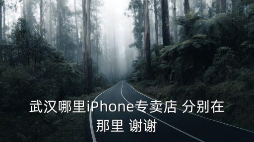 武漢哪里iPhone專賣店 分別在那里 謝謝