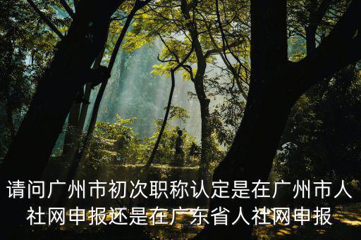 請問廣州市初次職稱認定是在廣州市人社網申報還是在廣東省人社網申報