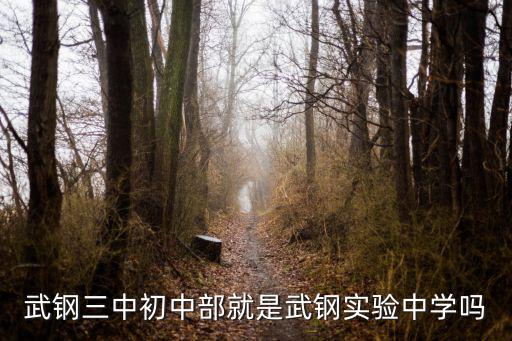 武鋼三中初中部就是武鋼實驗中學嗎