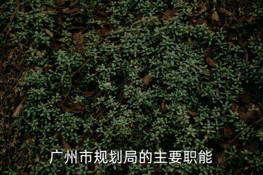 廣州市規劃局的主要職能