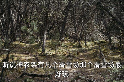 聽說神農(nóng)架有幾個(gè)滑雪場(chǎng)那個(gè)滑雪場(chǎng)最好玩