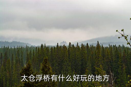 太倉浮橋有什么好玩的地方