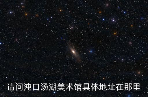 請問沌口湯湖美術館具體地址在那里