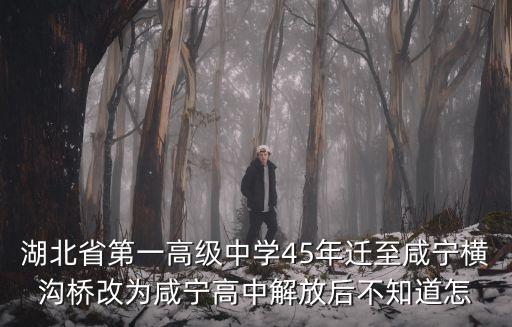 湖北省第一高級中學(xué)45年遷至咸寧橫溝橋改為咸寧高中解放后不知道怎