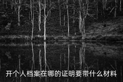 開個(gè)人檔案在哪的證明要帶什么材料