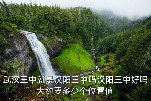武漢三中，武漢市三中在什么位置