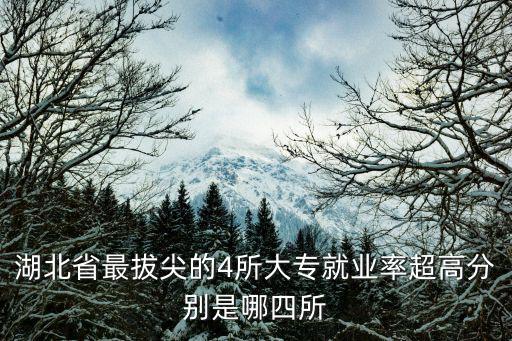 湖北省最拔尖的4所大專就業(yè)率超高分別是哪四所