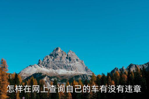 查詢違章，怎樣在網上查詢自己的車有沒有違章