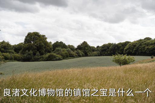 良渚文化博物館，良渚文化博物館的鎮(zhèn)館之寶是什么一個(gè)