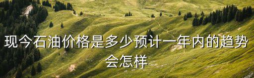 現今石油價格是多少預計一年內的趨勢會怎樣