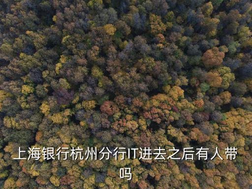 上海銀行杭州分行，上海銀行杭州分行客戶經理用不用下到支行